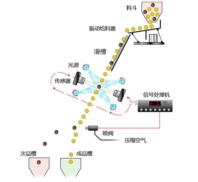 色選機工作原理.jpg